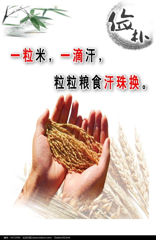 勒佐卡拉布里亚音乐学院 Business degree certificate